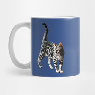 Bengal Cat Kitten Silver Spotted Beauty Mug